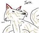 Jamie's contest pic