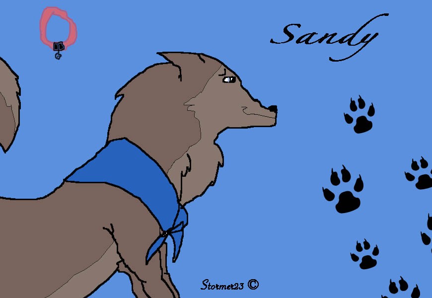 Sandy's Computer Drawn Profile