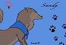 Sandy's Computer Drawn Profile