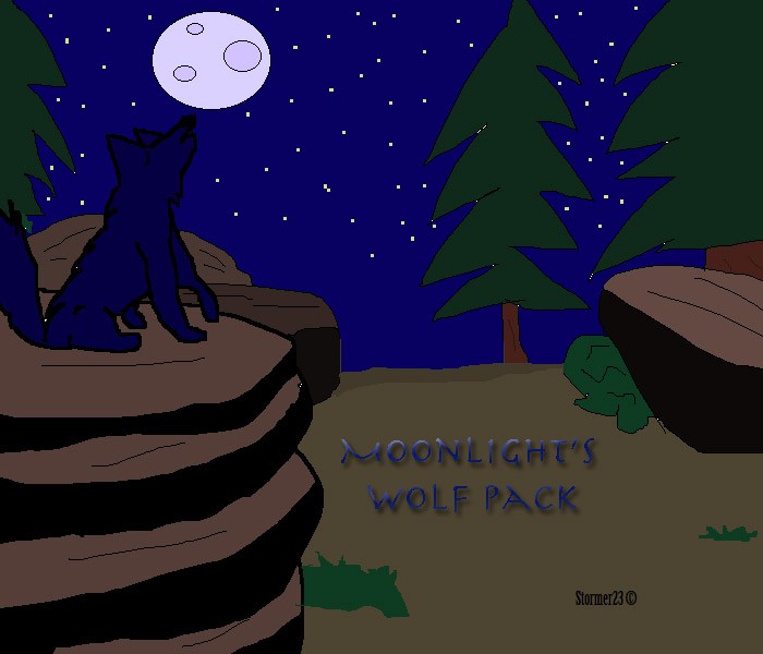 Moonlight's Wolf Pack : Cover