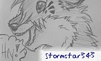 stormstar343