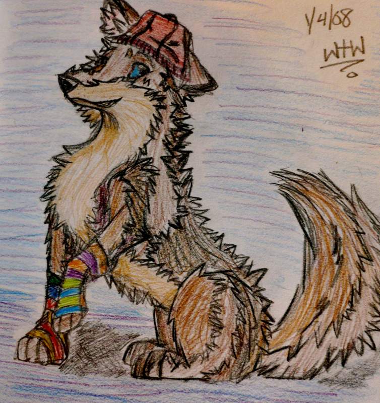 Why Balto doesn't wear clothes