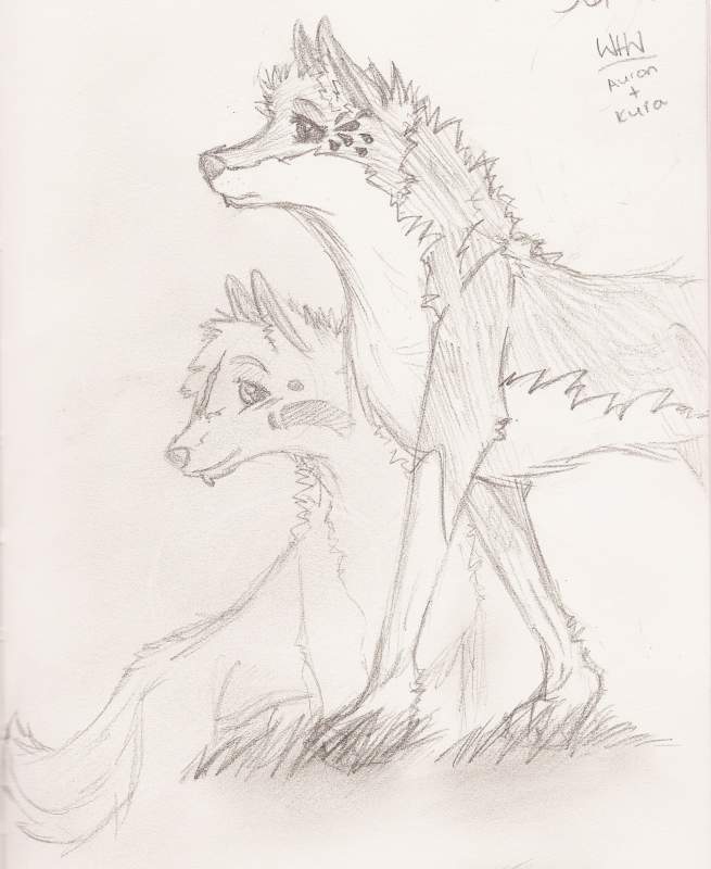 Auron + kyra = lovers