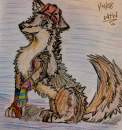 Why Balto doesn't wear clothes