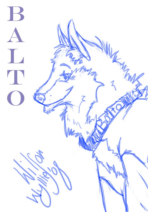 Balto doodle