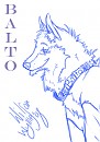 Balto doodle