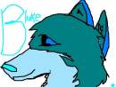 Bluke