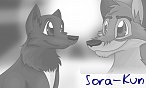 Sora-Kun