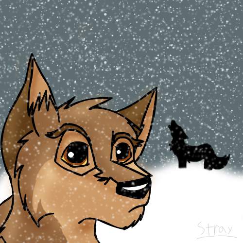 Balto Headshot
