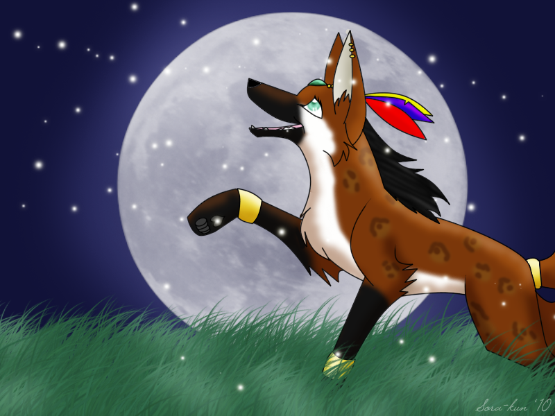 Chasing Fireflies