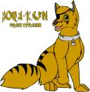 Sora-kun
