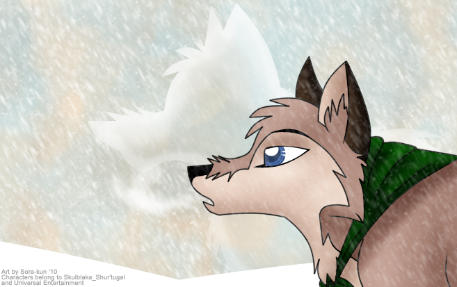 Walking With Spirits