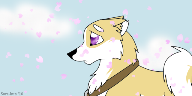 Sakura