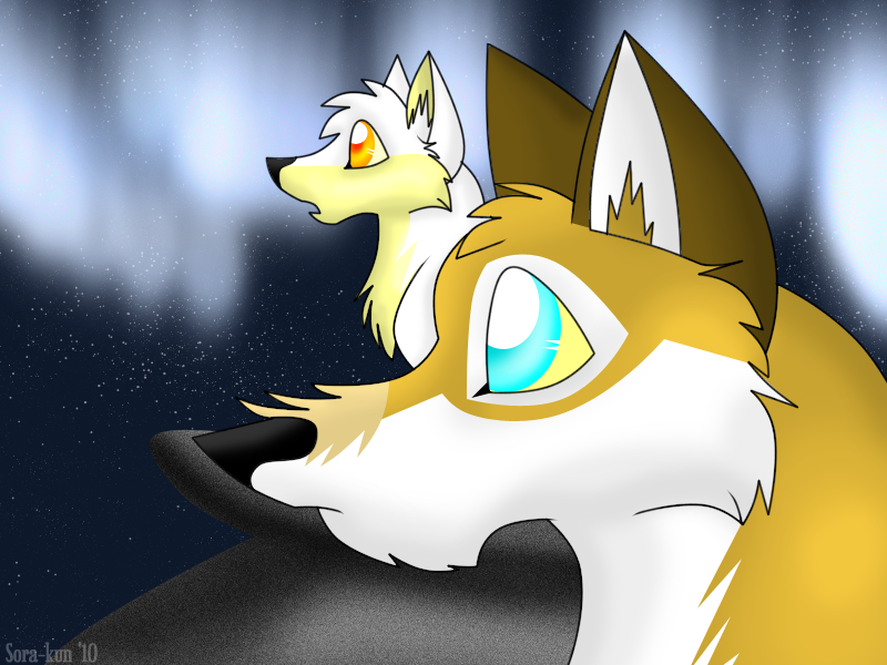 Sky Reading