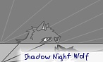 Shadow Night Wolf