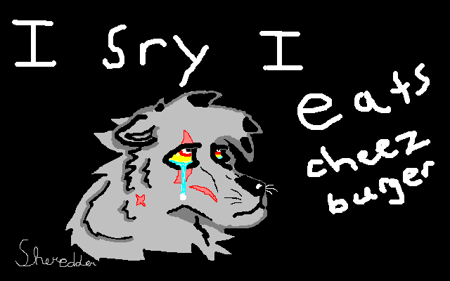 Shredder Is Very Sorry 