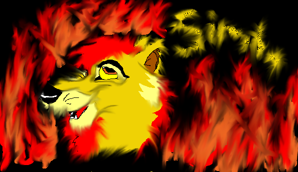 Simba as a Wolf