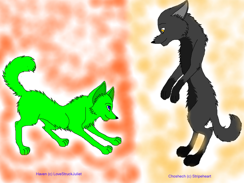 Haven and Choshech =D