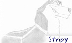 Stripy