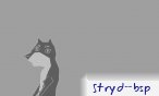 stryd_bsp