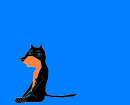shadow wolf