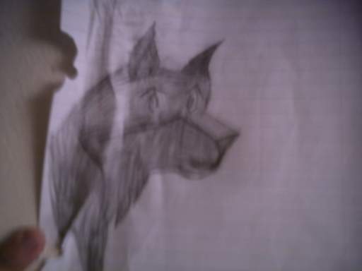 balto
