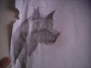 balto