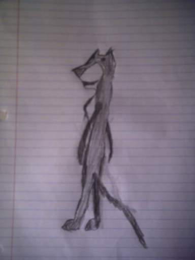 a female dog
