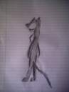 a female dog
