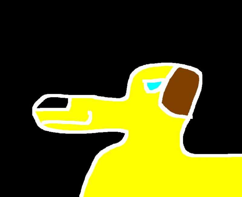 yellow dog
