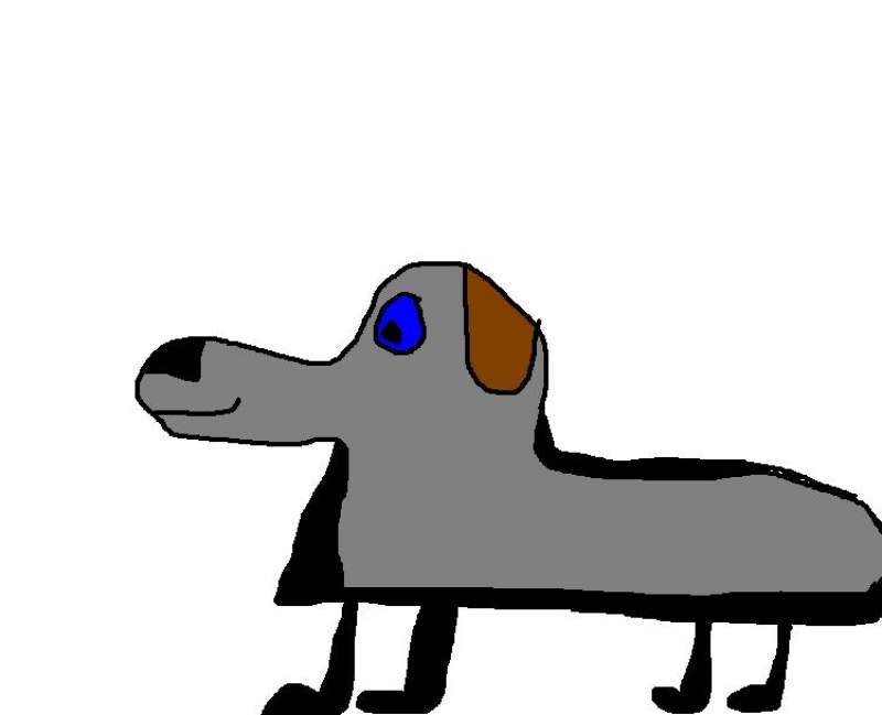 SPOT