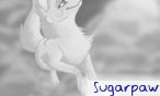 Sugarpaw
