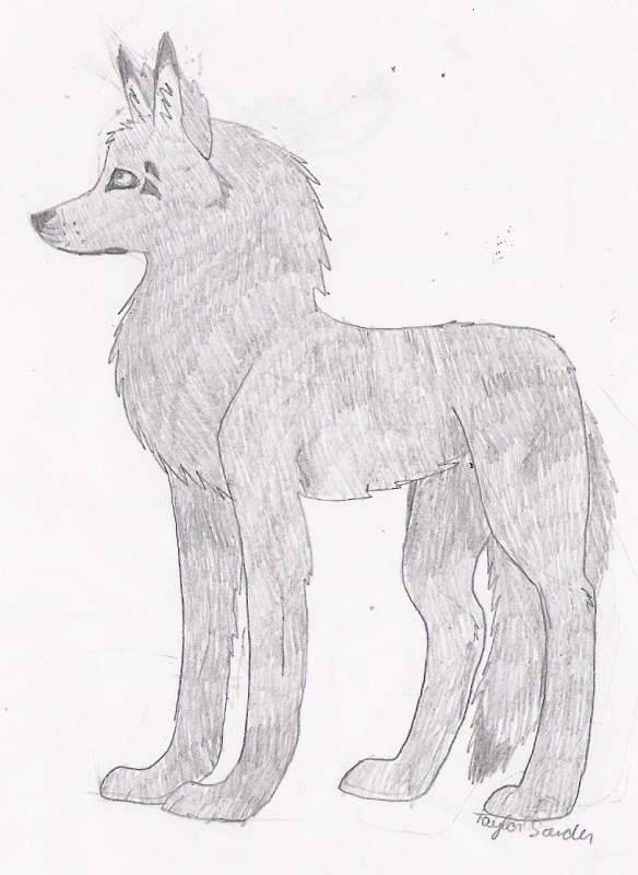 Kayna