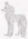 Kayna