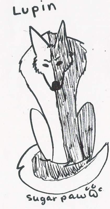 Lupin