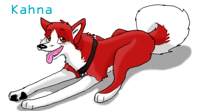 for kattiekitty
