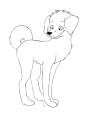 color your own!!!
