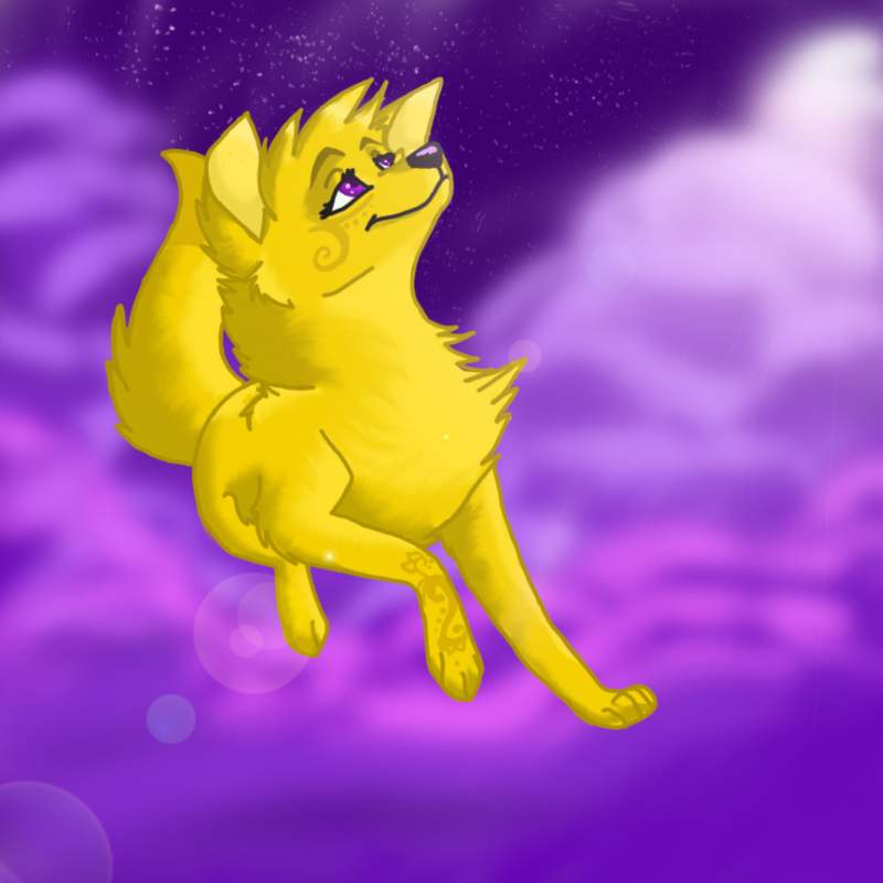 falling star