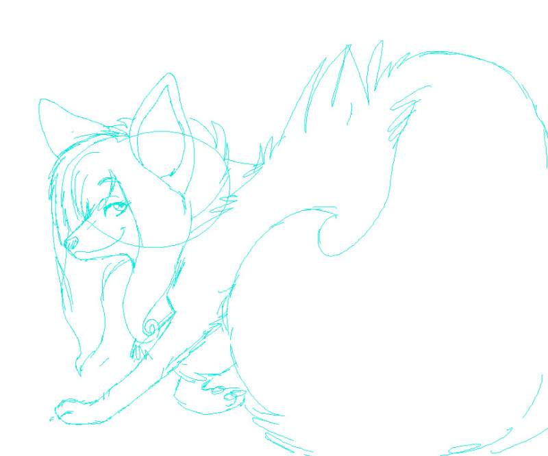 not don just the sketch!!!