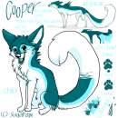 cooper refffff