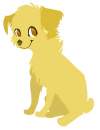 Gracie my dog