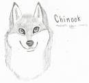 Chinook