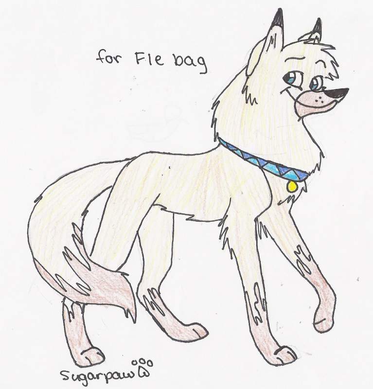 fle bag