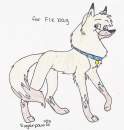 fle bag