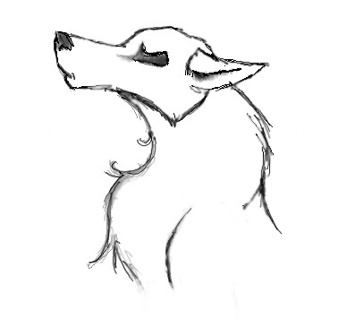 Just another wolfie