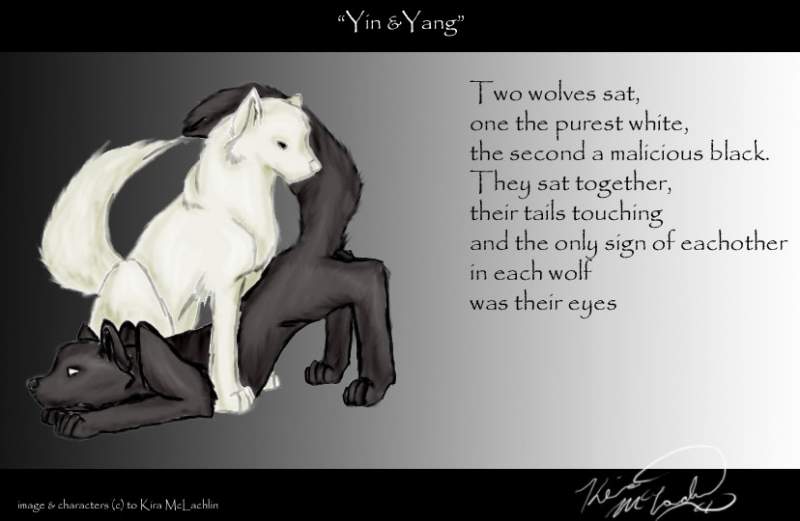 Yin & Yang