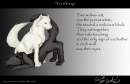 Yin & Yang