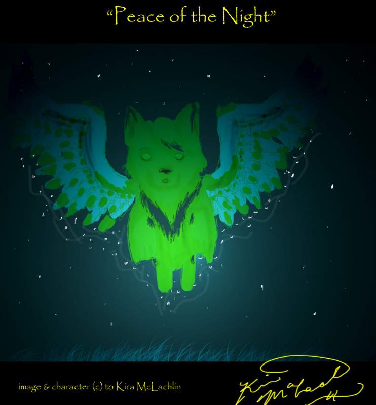Peace of the Night