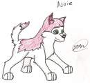 Noie