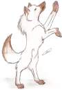 Request Drawing for wolf_fang30